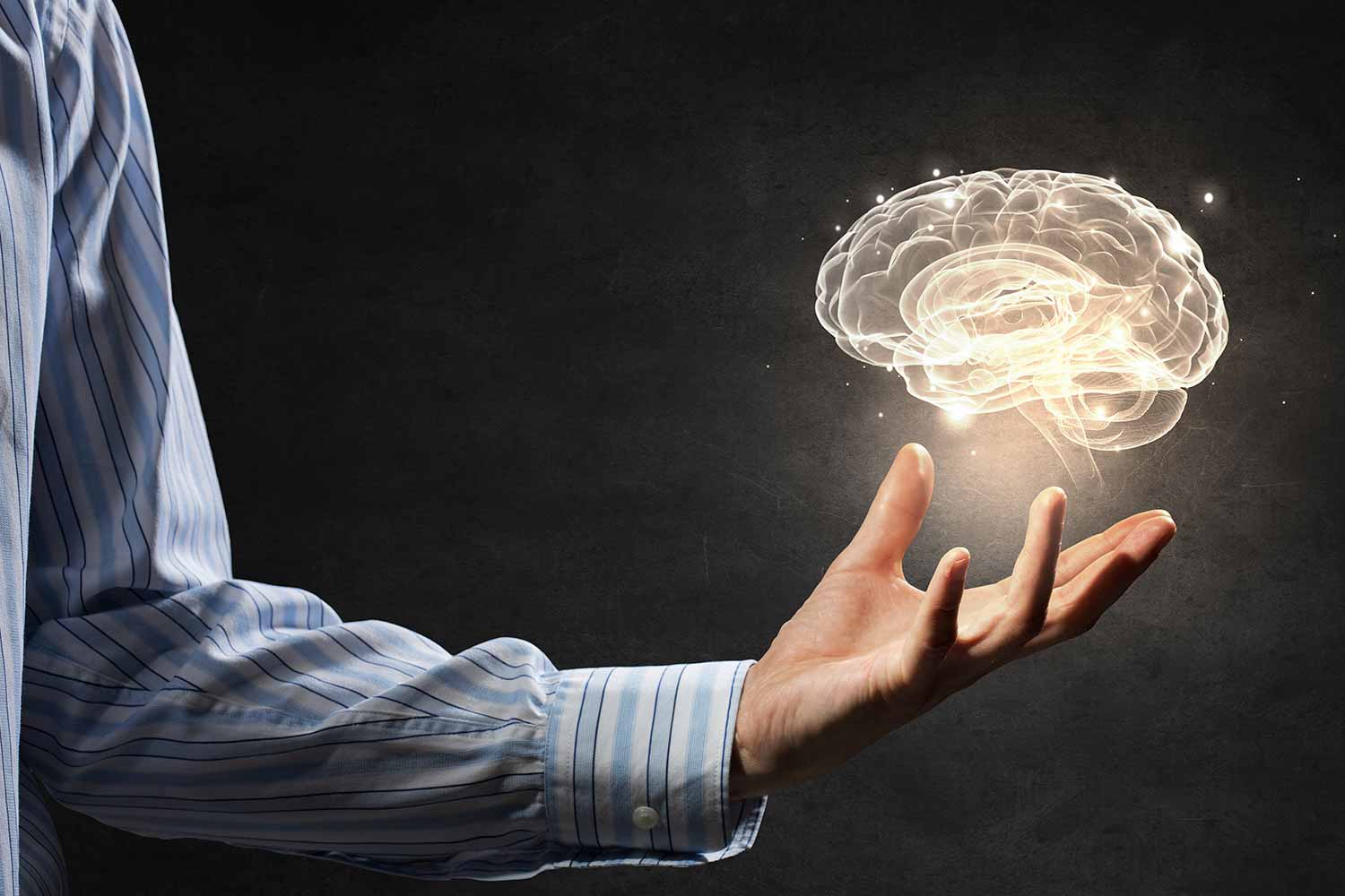 brain2